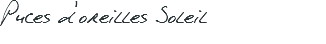 Puces d'oreilles Soleil